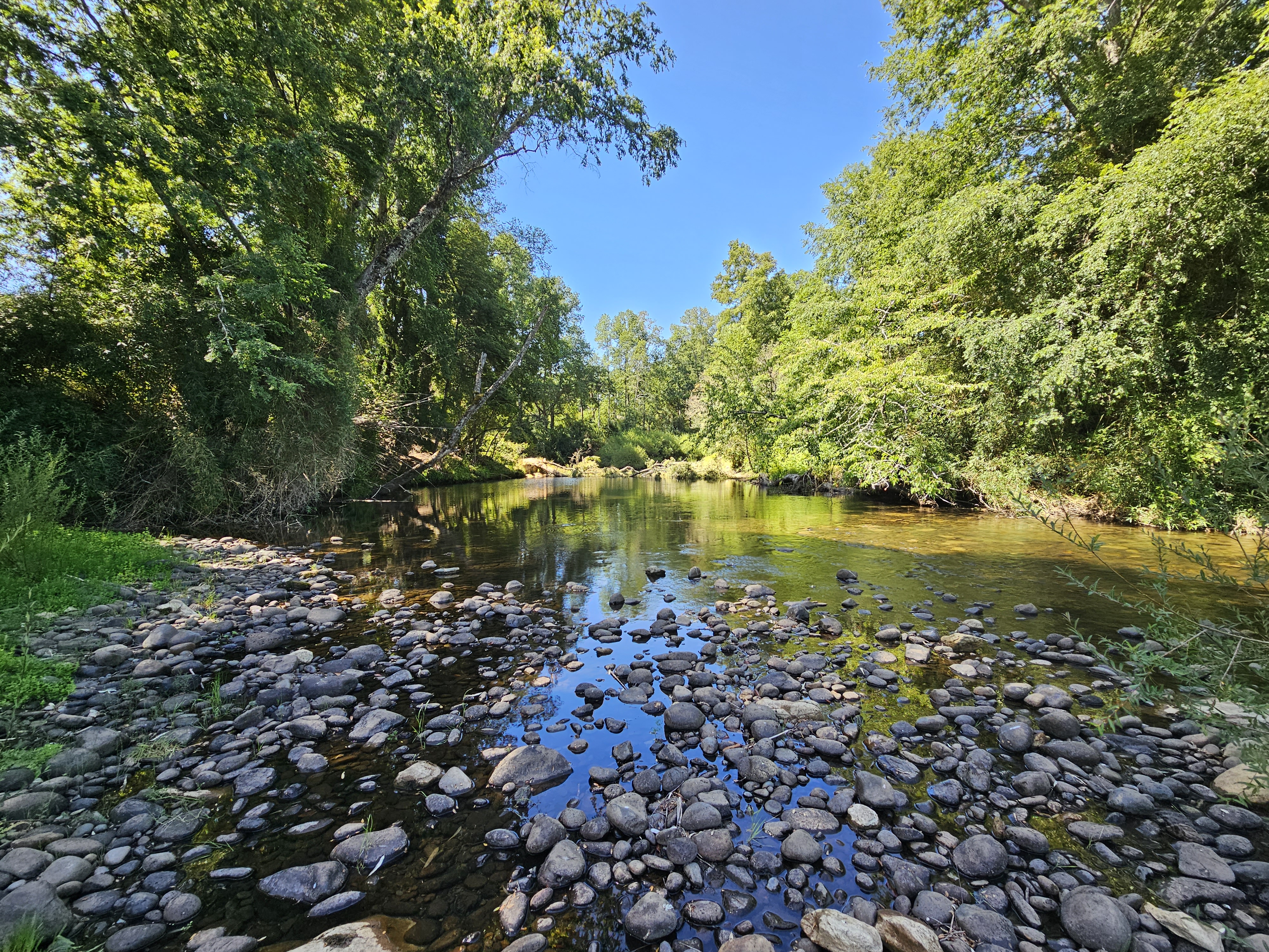 Bosque y río - Condominio Río Caivico